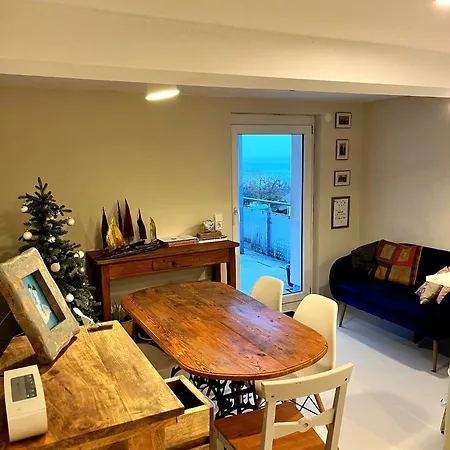 Helles Mit Seeblick Und Grosser Terrasse Lejlighed Konstanz