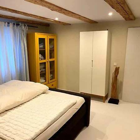 Helles Mit Seeblick Und Grosser Terrasse Konstanz