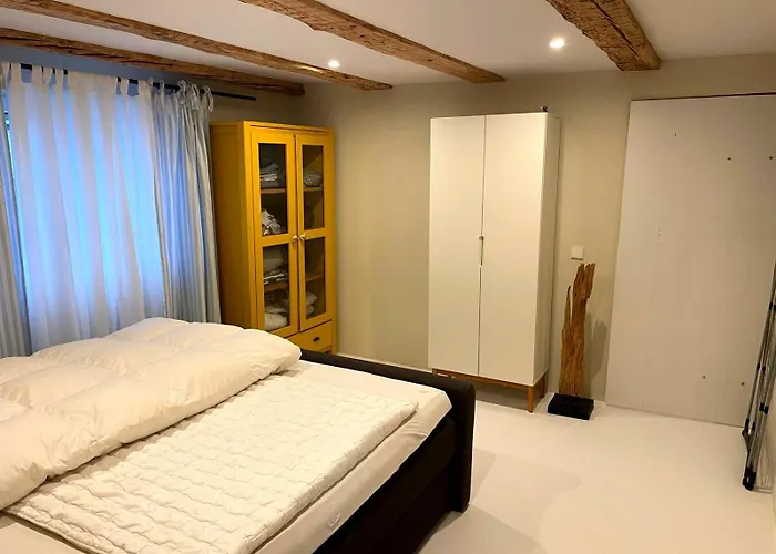 Helles Mit Seeblick Und Grosser Terrasse Konstanz